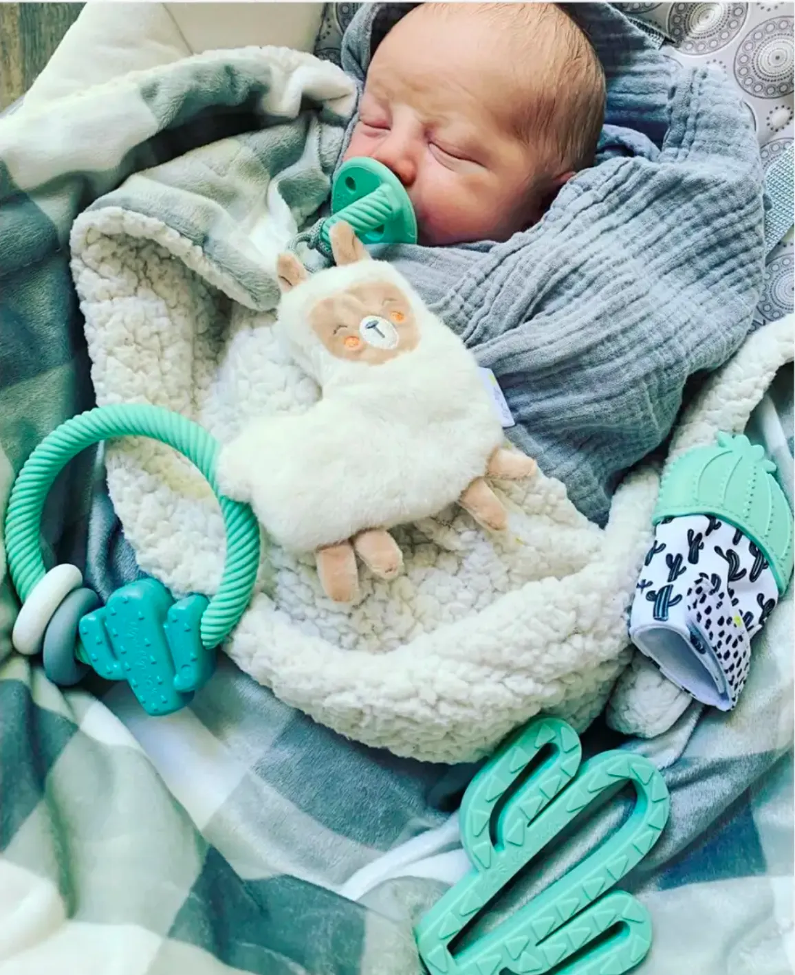Cactus Teether Rattle