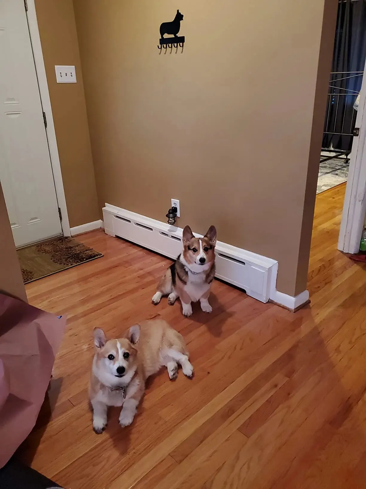 Corgi Key Holder & Leash Hanger – Perfect Corgi Gifts