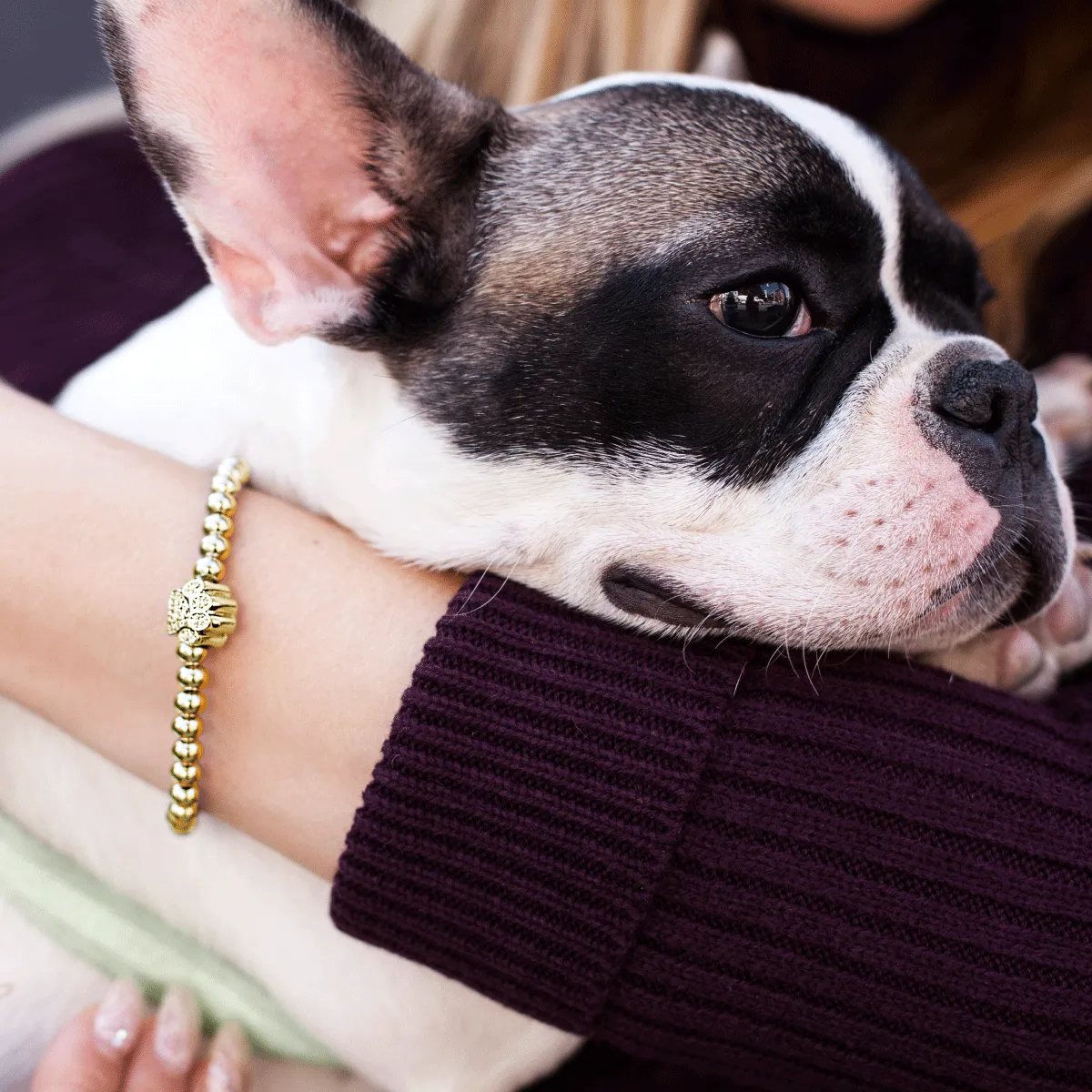 Paw | 18k Gold | Crystal Pup Print