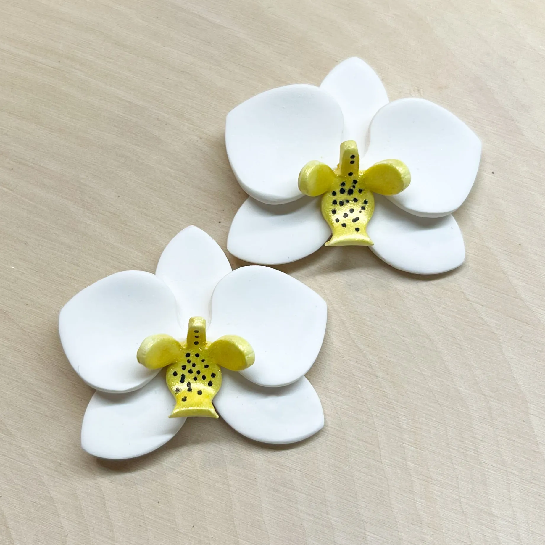 Phalaenopsis- Large Stud
