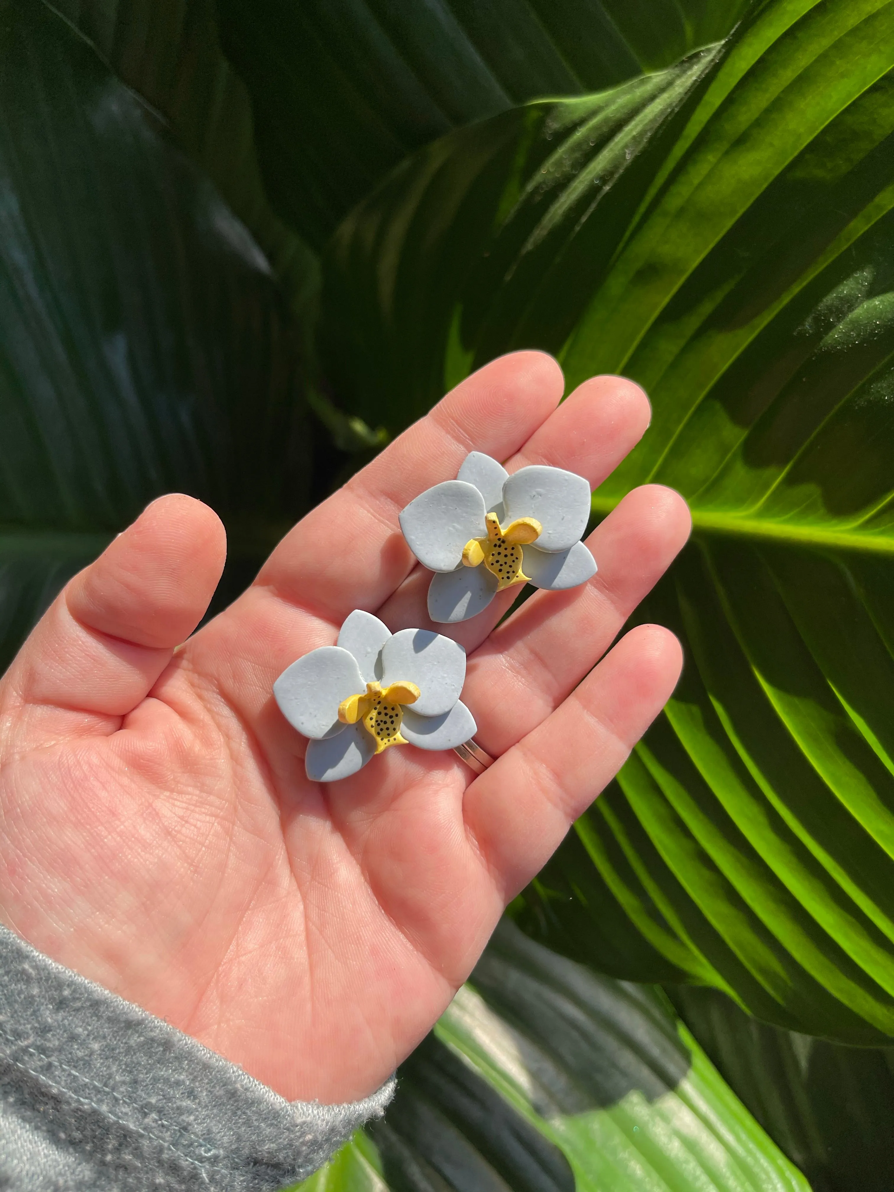 Phalaenopsis- Large Stud