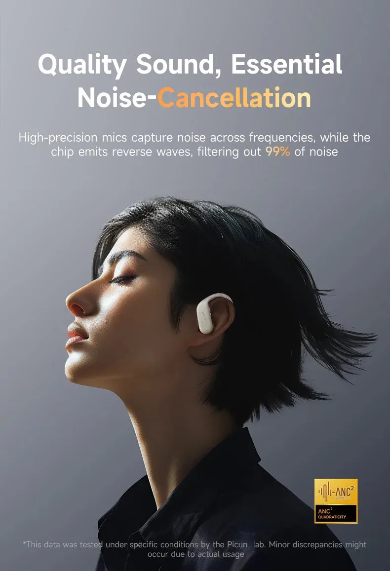PICUN A5 ANC Bluetooth Wireless Sports Earbuds