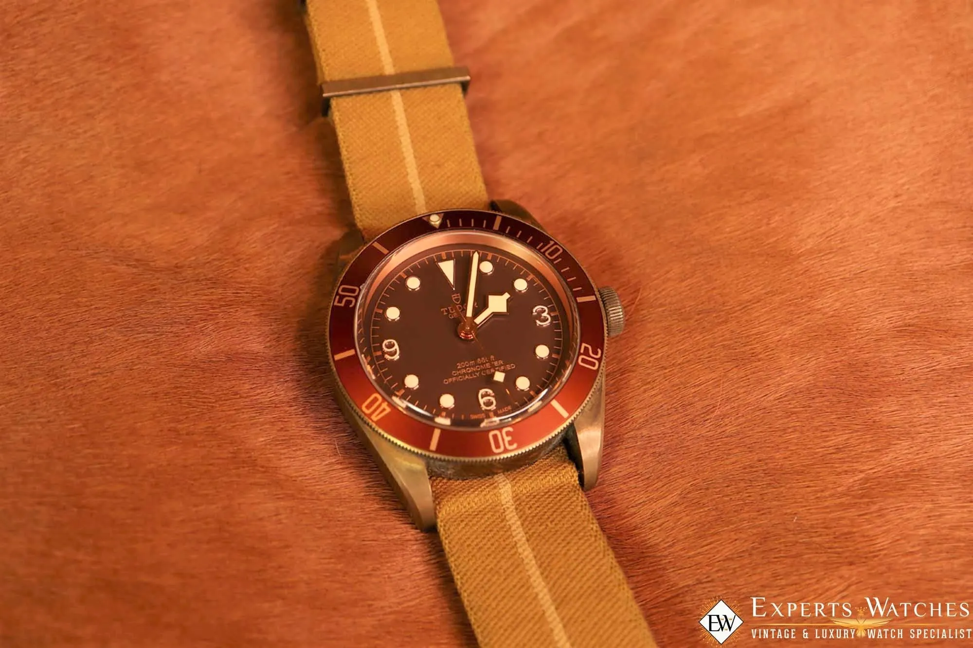 Sold!!! TUDOR Black Bay Bronze 79250BM 43mm Automatic Box and Papers