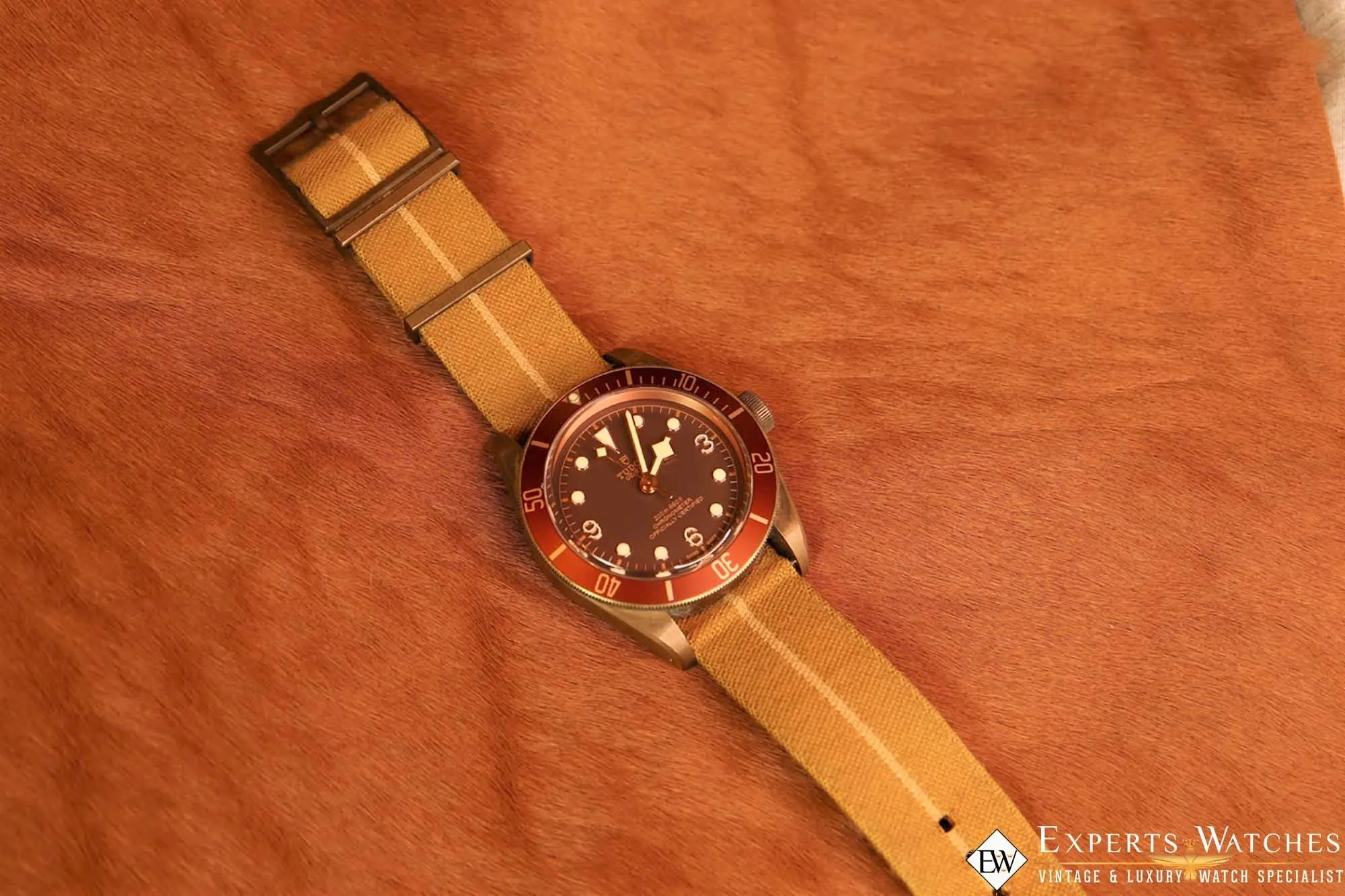 Sold!!! TUDOR Black Bay Bronze 79250BM 43mm Automatic Box and Papers