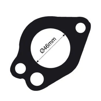 Tridon Thermostat Gasket - TTG24