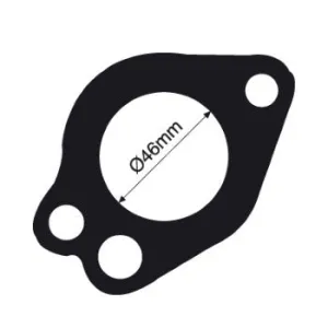Tridon Thermostat Gasket - TTG24