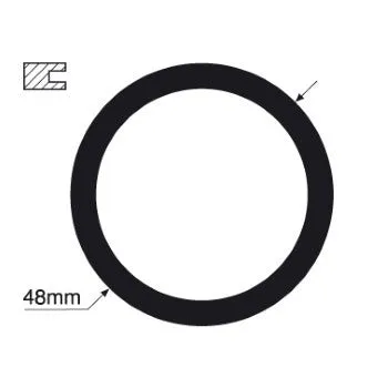 Tridon Thermostat Gasket - TTG26