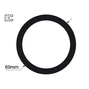 Tridon Thermostat Gasket - TTG31