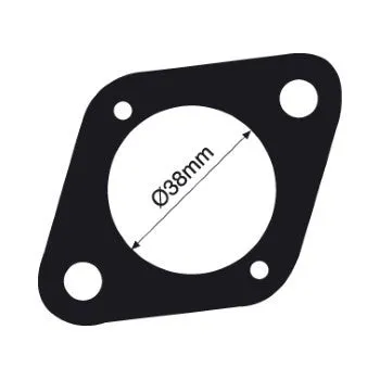 Tridon Thermostat Gasket - TTG46