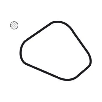 Tridon Thermostat Gasket - TTG73