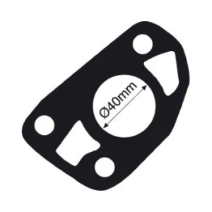 Tridon Thermostat Gasket - TTG7