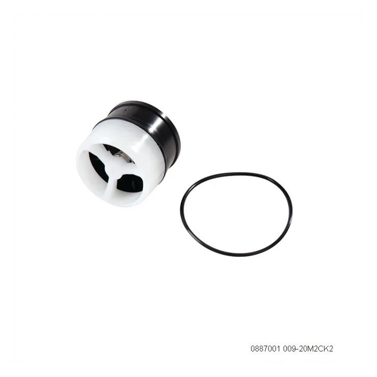 WATTS 20mm M2 009 RPZ Spare Parts